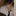 양민호