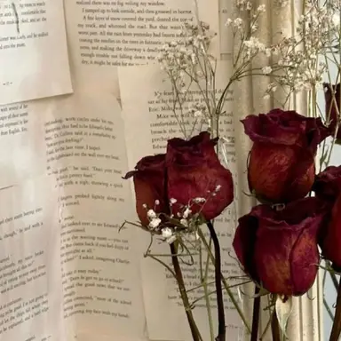 Profile image of 마플