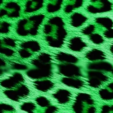 Profile image of 原嘉孝