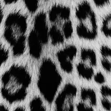 Profile image of 篠塚大輝