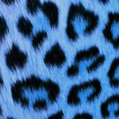 Profile image of 寺西拓人