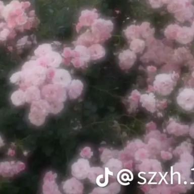 Profile image of 우부야시키 카가야
