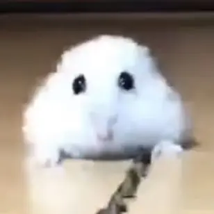 Profile image of 최혜주