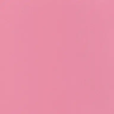 Profile image of 菊