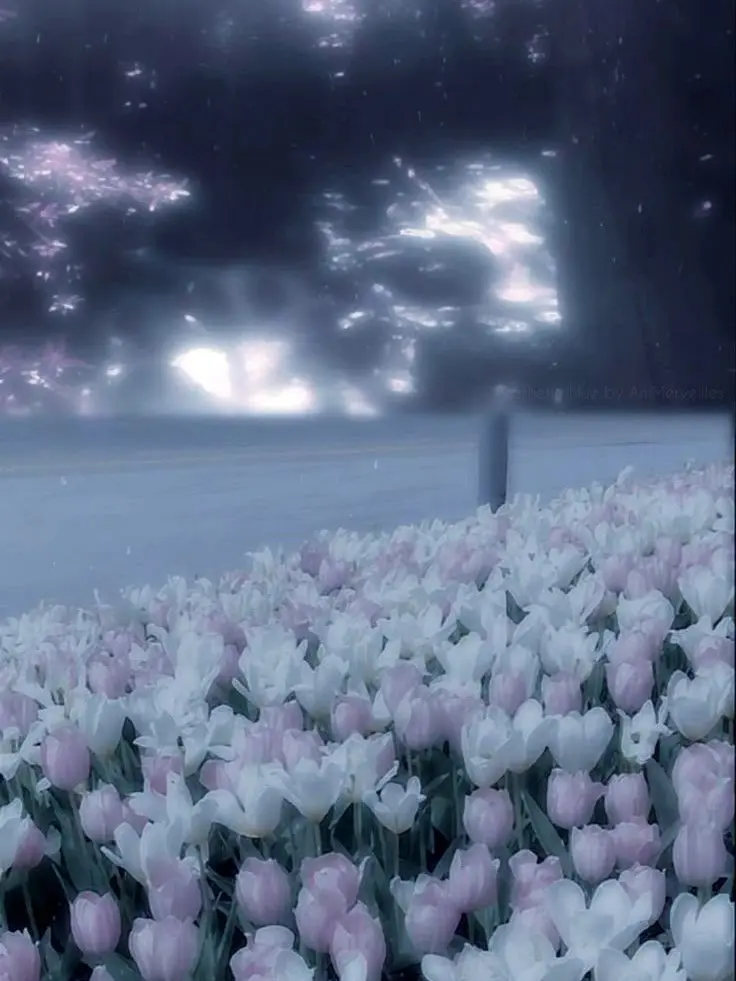 mo-tann_의 ‪‪❤︎‬ ⸒⸒