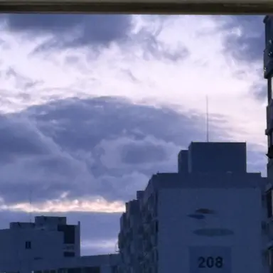 Profile image of 여우