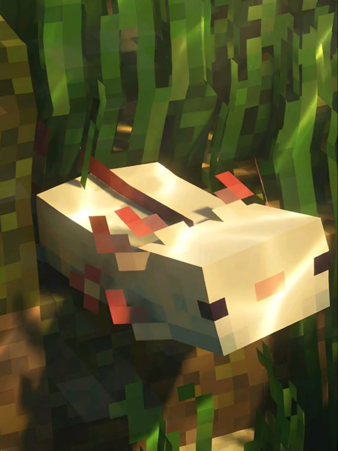 GivingStar4836의 🏫 픽셀리 고등학교