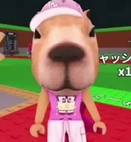 Profile image of りせ
