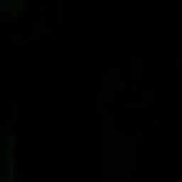 RunnyRadar1473의 동생잘돌보는누나
