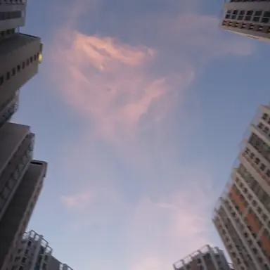 Profile image of 임신한 유저