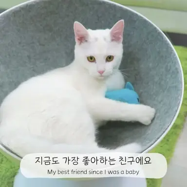 Profile image of 푸딩