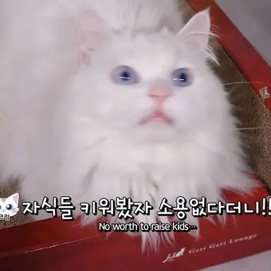 Profile image of 크림