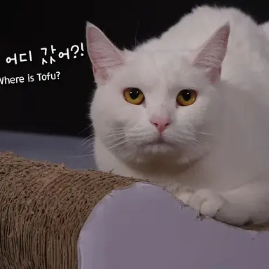Profile image of 멜로