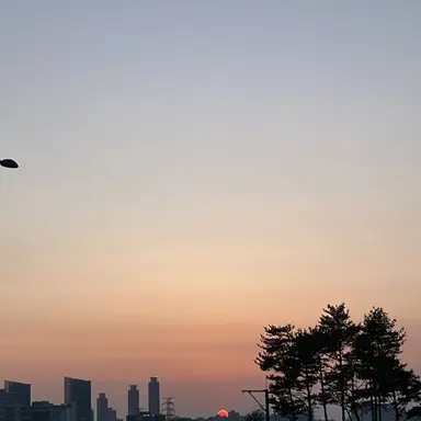 Profile image of 레디