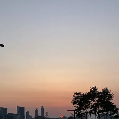 Profile image of 오렌