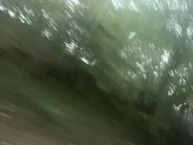 Profile image of Plane Trip