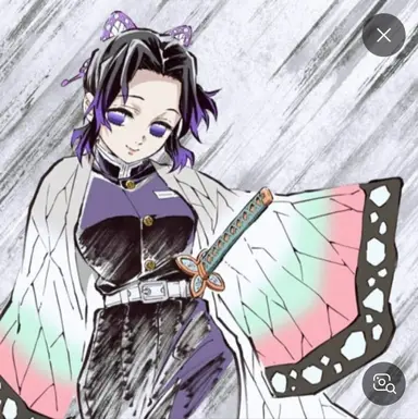 Profile image of 胡蝶しのぶ