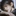 이윤우