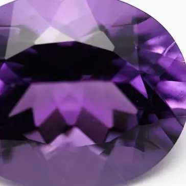 Profile image of 紫苑