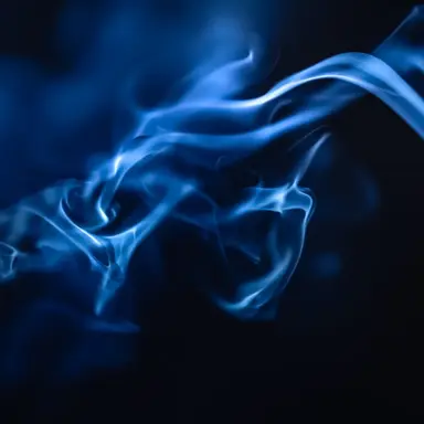 Profile image of 잠뜰