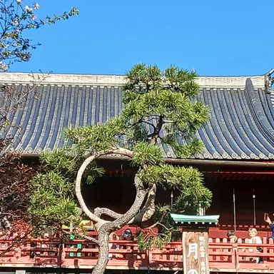 Profile image of ソ連