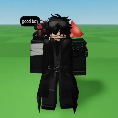 Profile image of 플런저