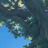 Profile image of 玲司