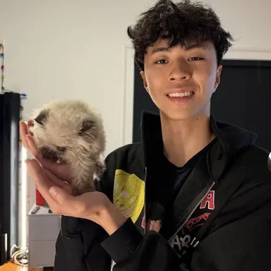 Profile image of Ray