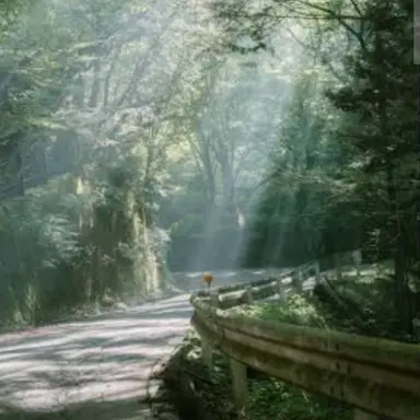 Profile image of 大森元貴