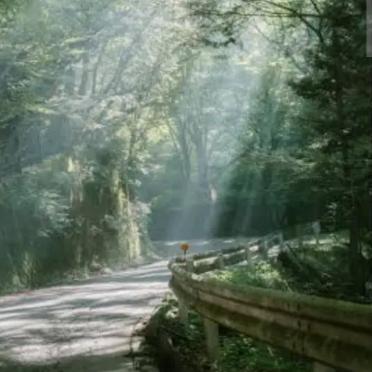 Mrs.milkLove의 ただいま