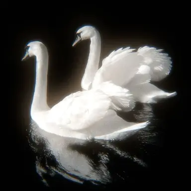 Profile image of イヴァン
