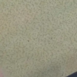 Profile image of 빌