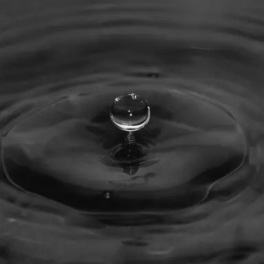 Profile image of Theo