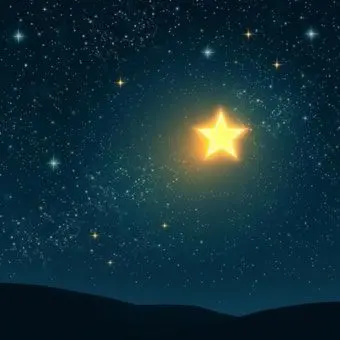 Profile image of 스타단