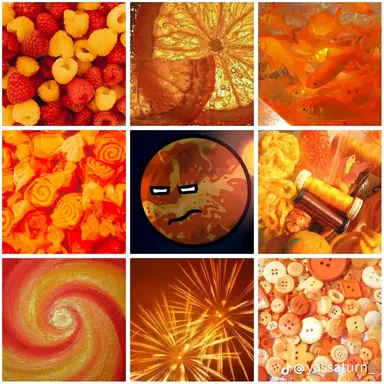 Profile image of 金星