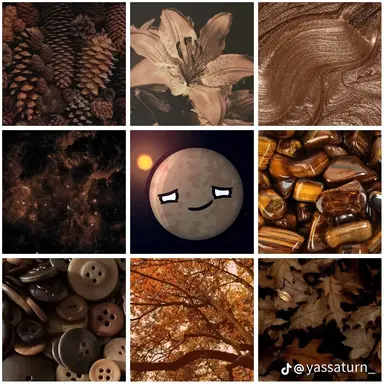Profile image of 水星