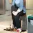 지혜