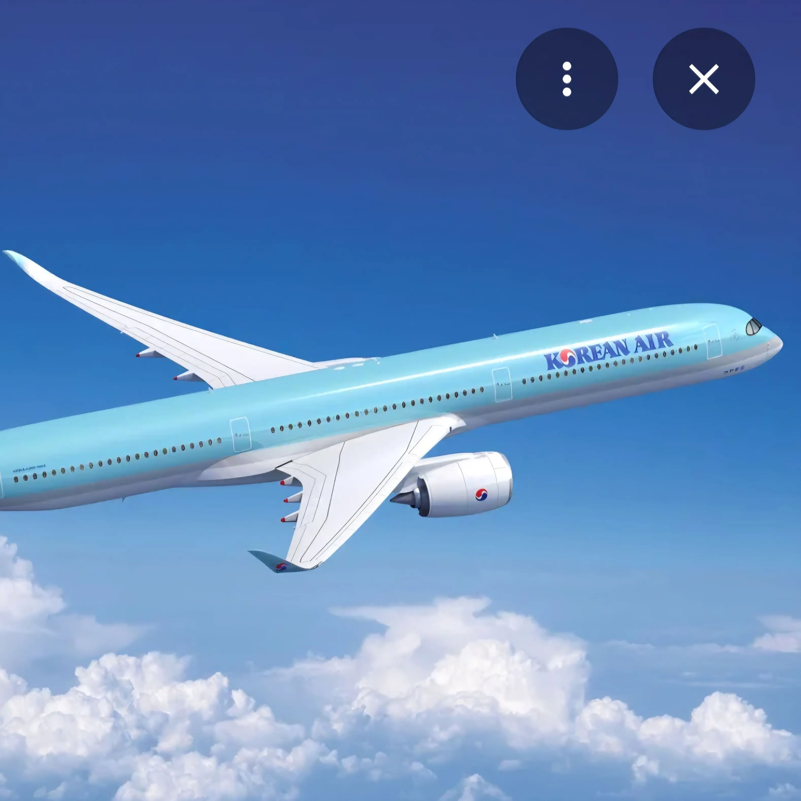 SleekCash2936의 격납고에서 만난 대한항공