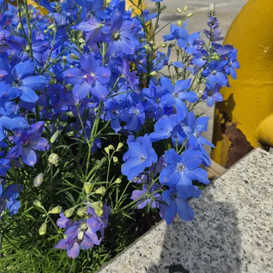 Profile image of 아이브와  친구들