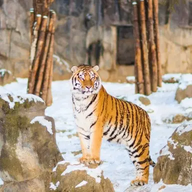 Profile image of 뽀지