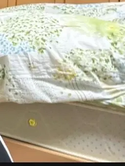 SilkyLemur3945의 始まれば終わり