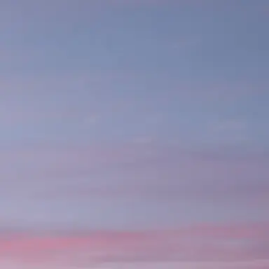 Profile image of 쉐도우밀크쿠키