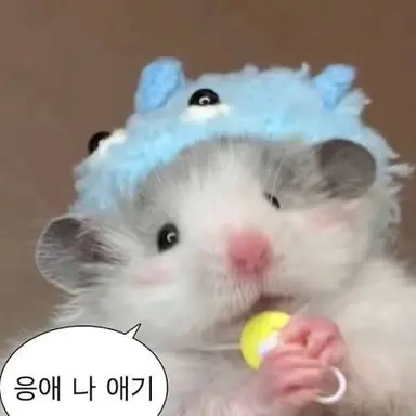 Profile image of 햄찌