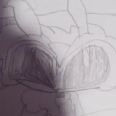 Profile image of Montgomery Gypsymoth