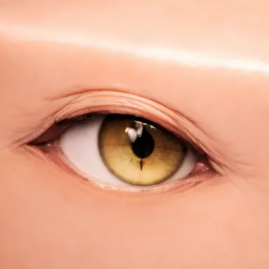 Profile image of 肉函