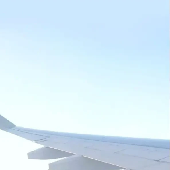 ドSないんくメンバー