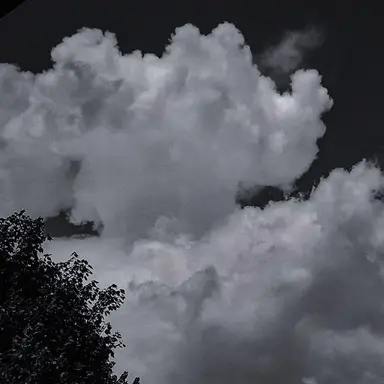 Profile image of 시미베