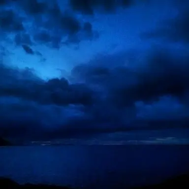 Profile image of 행크