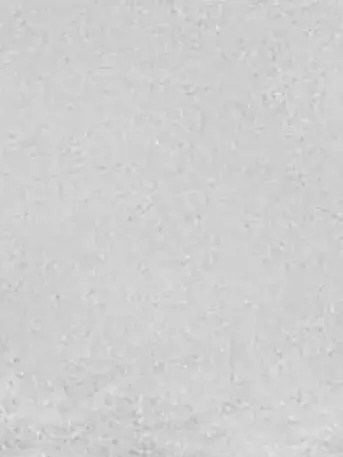 NutmegStudy4368의 한동민