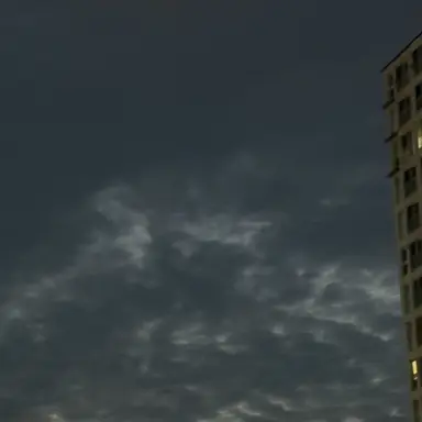 Profile image of 여우